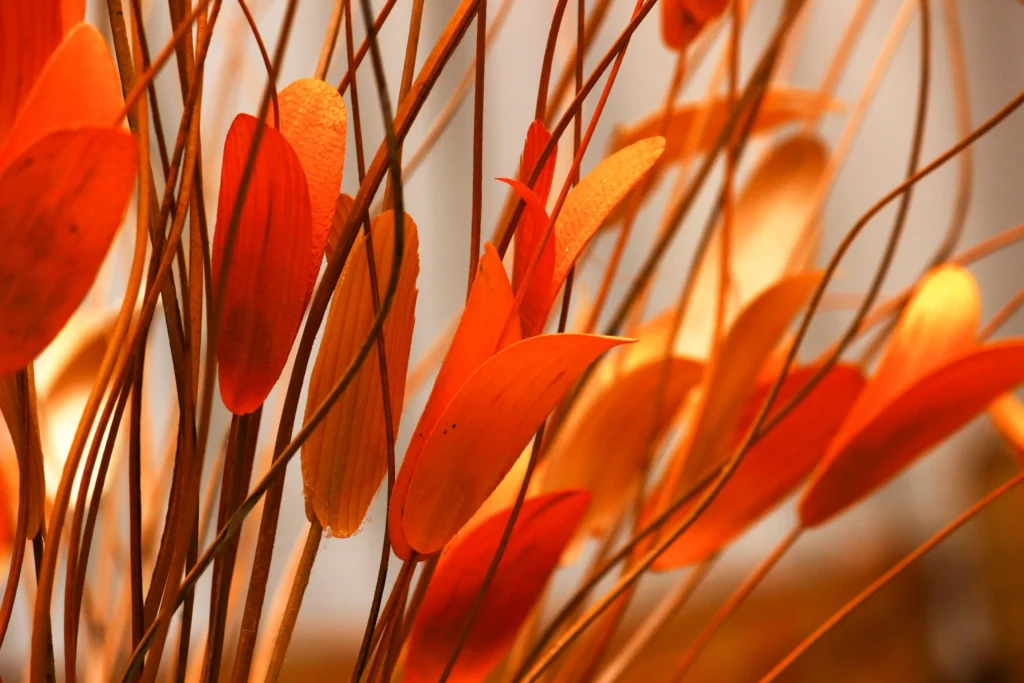Botanical image representing trauma therapy